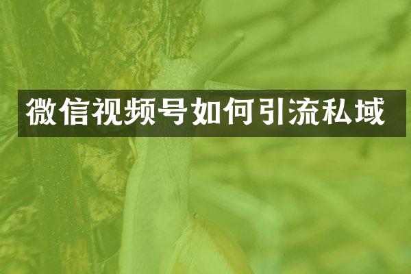 微信视频号如何引流私域