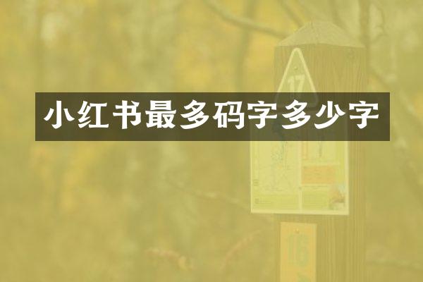 小红书最多码字多少字