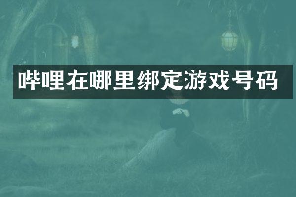 哔哩在哪里绑定游戏号码