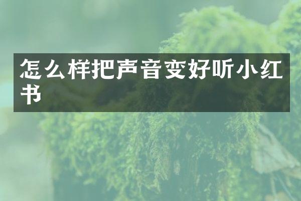 怎么样把声音变好听小红书