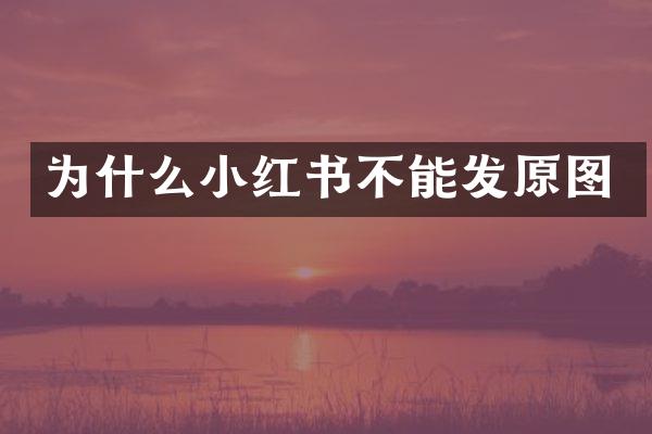为什么小红书不能发原图
