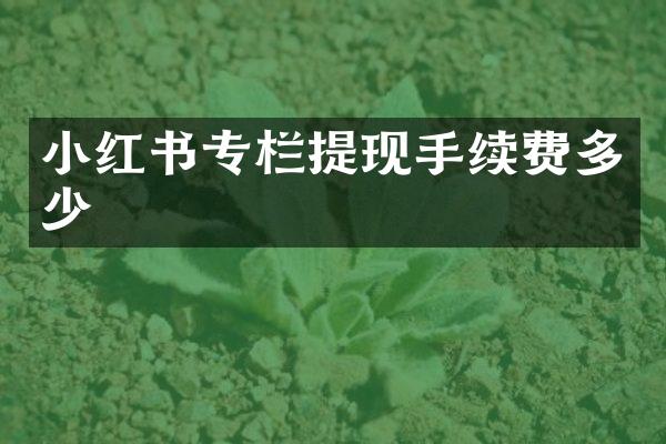 小红书专栏提现手续费多少