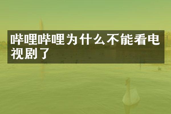 哔哩哔哩为什么不能看电视剧了