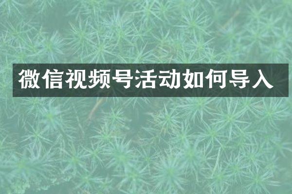 微信视频号活动如何导入