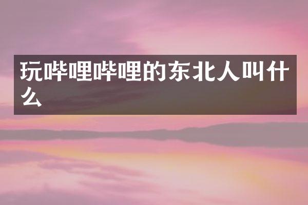 玩哔哩哔哩的东北人叫什么
