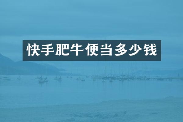 快手肥牛便当多少钱