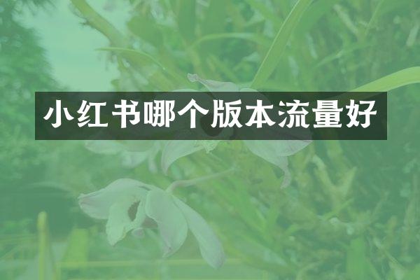 小红书哪个版本流量好