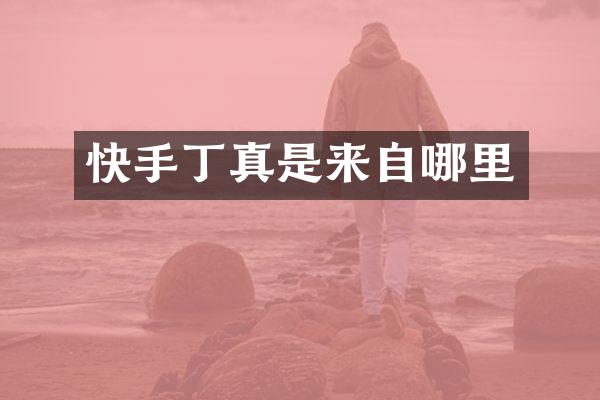 快手丁真是来自哪里