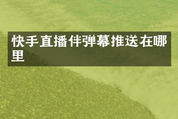 快手直播伴弹幕推送在哪里