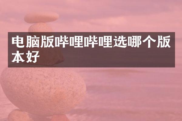 电脑版哔哩哔哩选哪个版本好