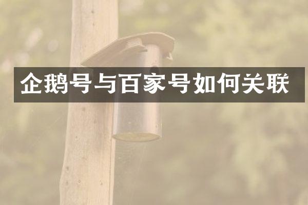 企鹅号与百家号如何关联