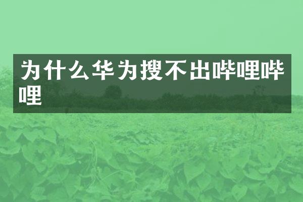 为什么华为搜不出哔哩哔哩