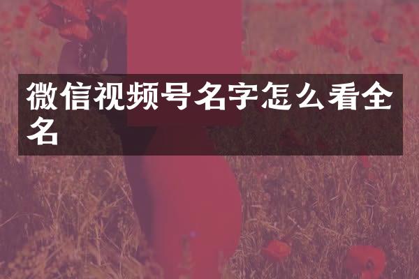 微信视频号名字怎么看全名
