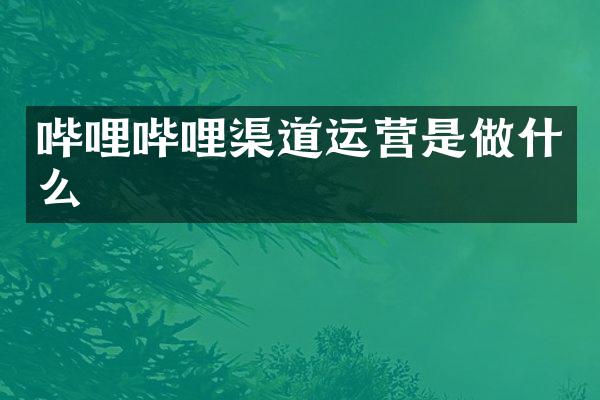 哔哩哔哩渠道运营是做什么