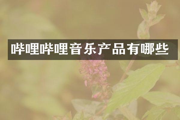 哔哩哔哩音乐产品有哪些