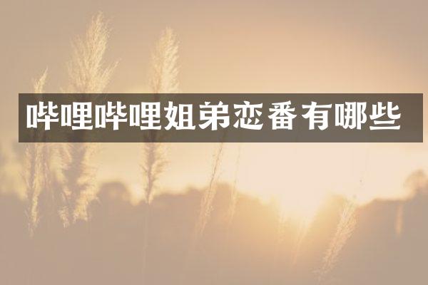 哔哩哔哩姐弟恋番有哪些