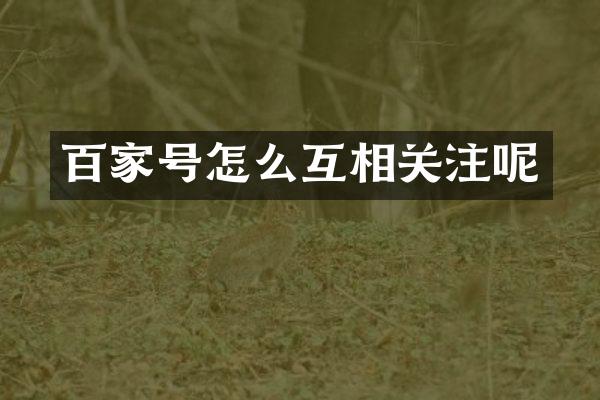 百家号怎么互相关注呢