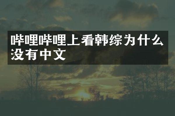 哔哩哔哩上看韩综为什么没有中文