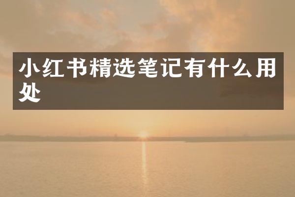 小红书精选笔记有什么用处