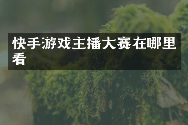 快手游戏主播大赛在哪里看