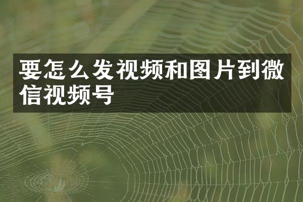要怎么发视频和图片到微信视频号