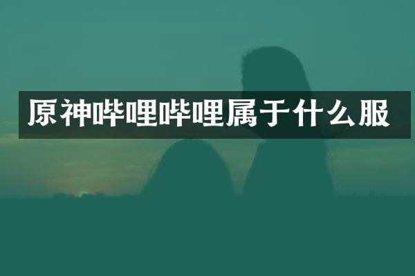 原神哔哩哔哩属于什么服