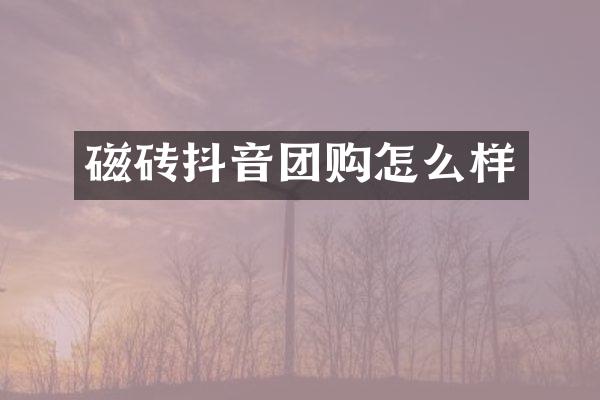 磁砖抖音团购怎么样