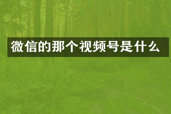 微信的那个视频号是什么