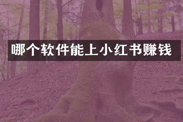 哪个软件能上小红书赚钱