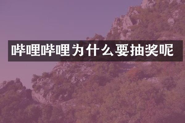 哔哩哔哩为什么要抽奖呢