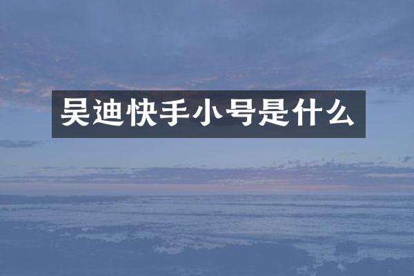吴迪快手小号是什么