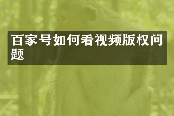 百家号如何看视频版权问题
