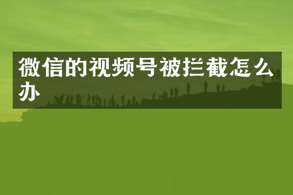 微信的视频号被拦截怎么办