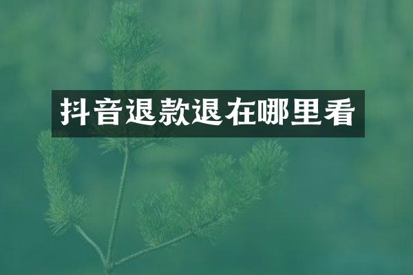 抖音退款退在哪里看