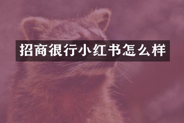 招商很行小红书怎么样
