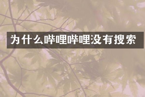 为什么哔哩哔哩没有搜索