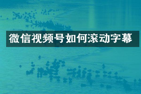 微信视频号如何滚动字幕