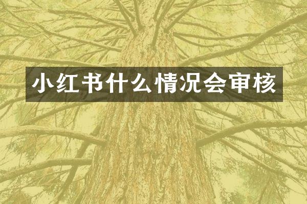 小红书什么情况会审核