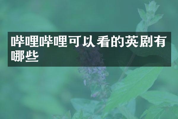 哔哩哔哩可以看的英剧有哪些