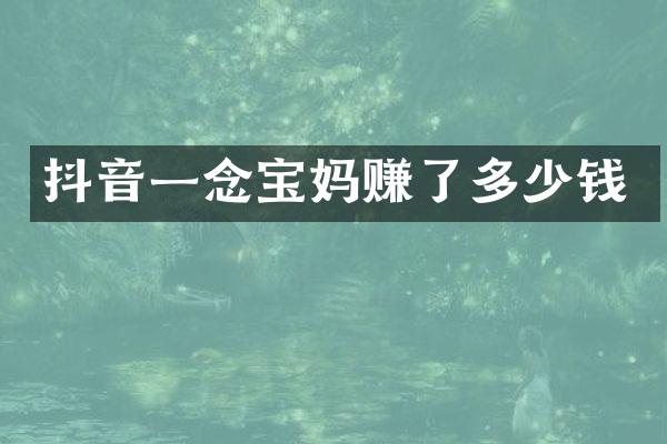 抖音一念宝妈赚了多少钱