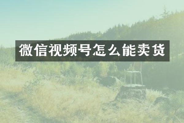 微信视频号怎么能卖货