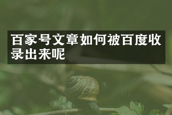 百家号文章如何被百度收录出来呢