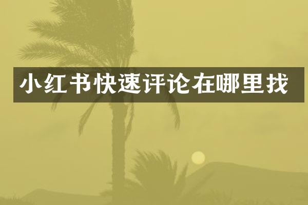小红书快速评论在哪里找