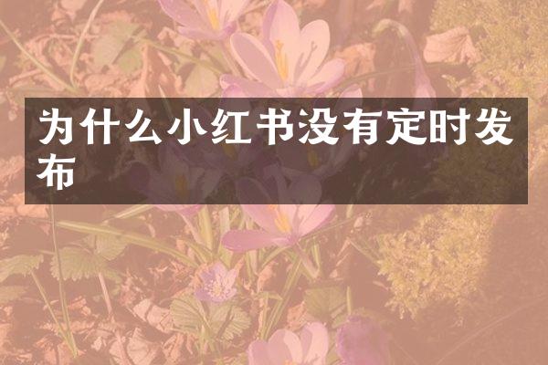 为什么小红书没有定时发布