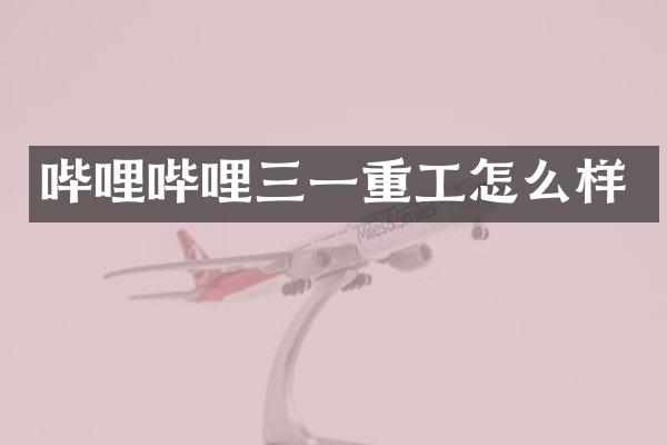 哔哩哔哩三一重工怎么样