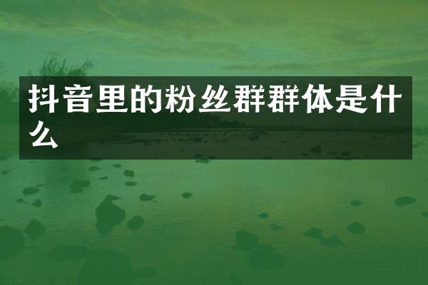 抖音里的粉丝群群体是什么