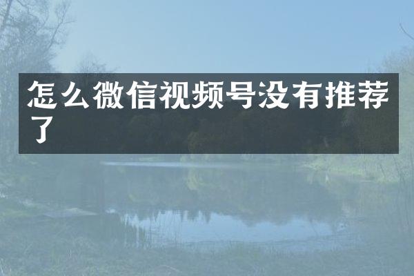 怎么微信视频号没有推荐了