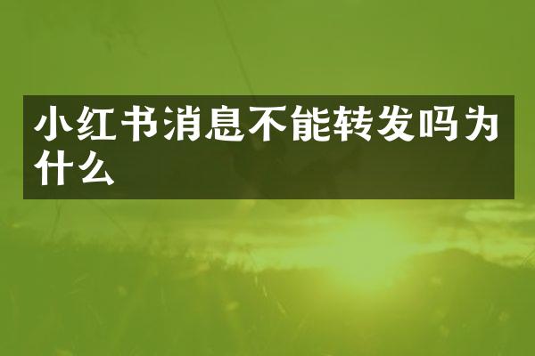 小红书消息不能转发吗为什么