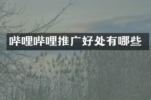哔哩哔哩推广好处有哪些