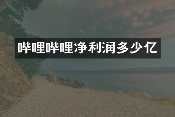 哔哩哔哩净利润多少亿